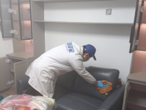 哪種方法除甲醛才是真正有效的呢？