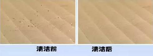 南京美女睡了10年的床墊，掀開后把全家人都嚇傻了……