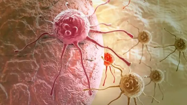 癌癥、白血病越來越多，是因為時代在進步而導(dǎo)致的嗎？