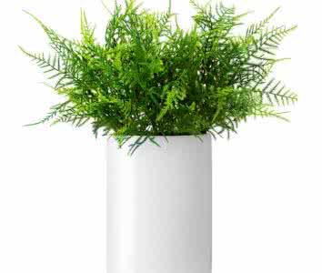 除了找除甲醛公司尋求幫助，還有什么辦法可以去毒