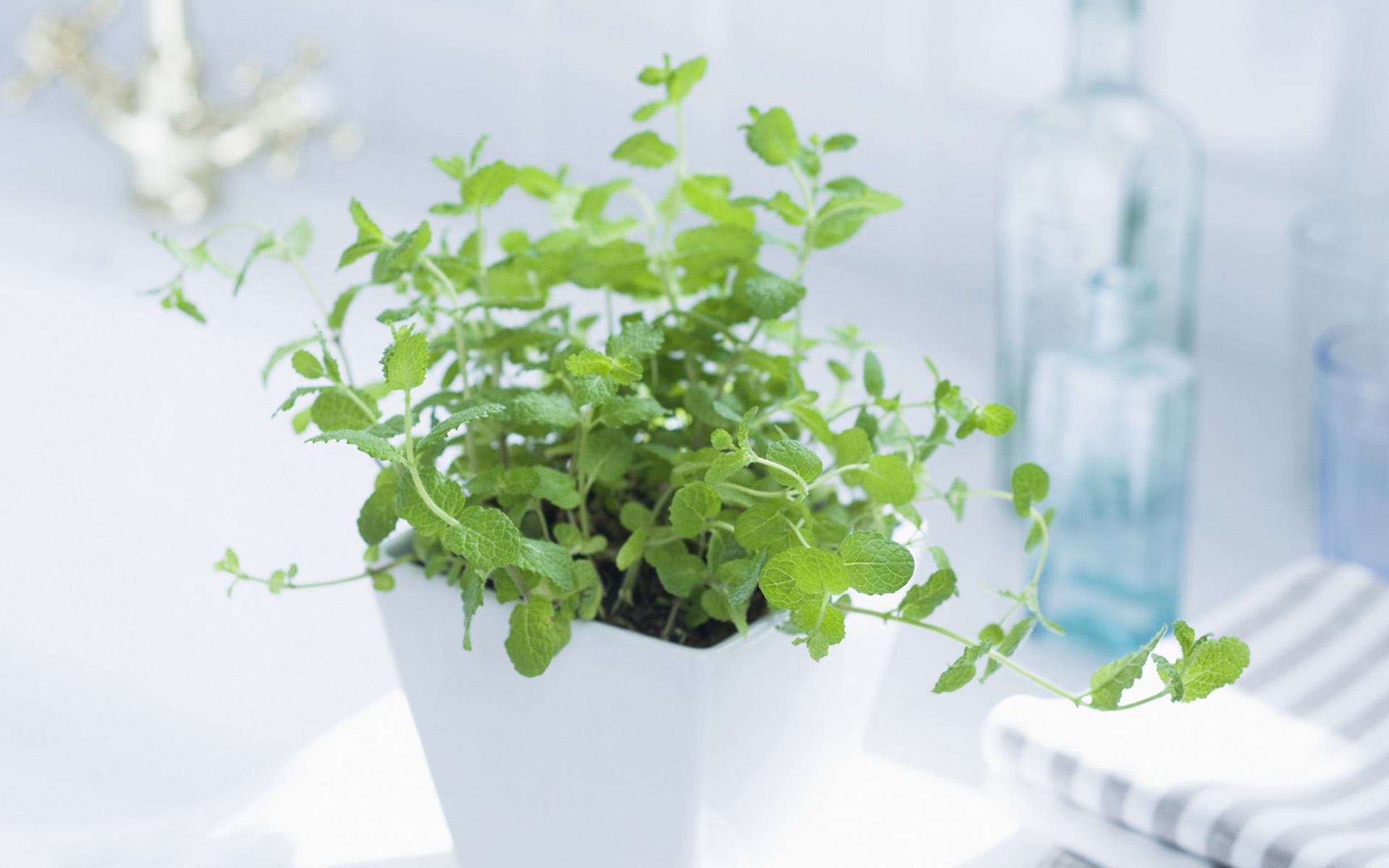 央視***主持人朱迅因癌癥離開大屏幕，這7個(gè)壞習(xí)慣最容易得癌癥！